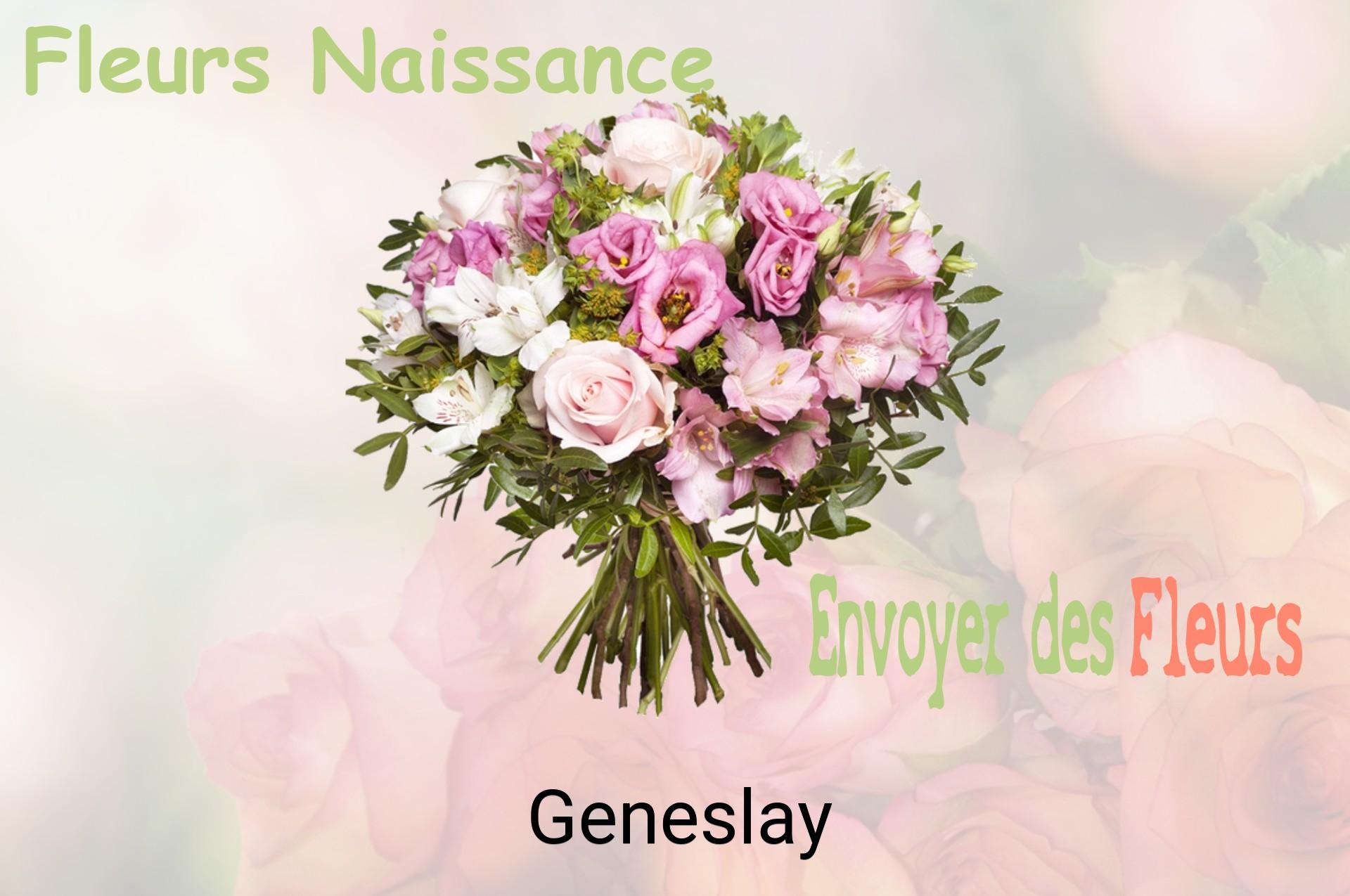 Bouquet de fleurs de naissance livré à Geneslay